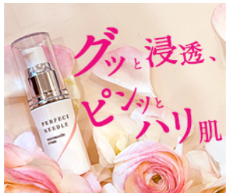 パーフェクトニードル 店舗